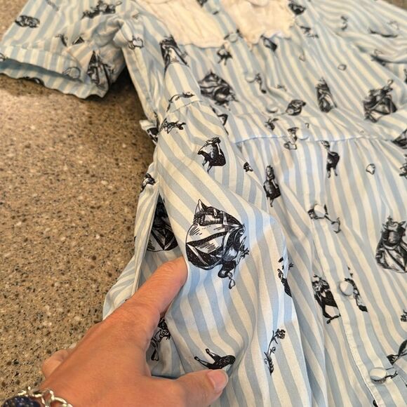 DISNEY Alice In Wonderland Curiouser And Curiouser Dress - Picture 14 of 16